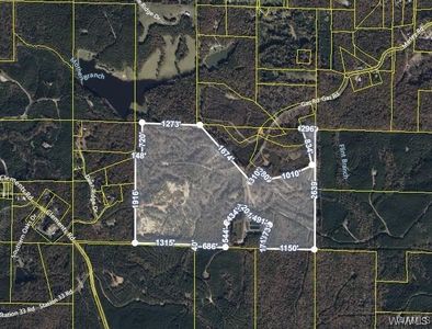 0 Station 32 Rd, Cottondale, AL, 35453