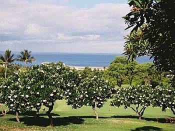 1st image of 10 Wailea Ekolu Pl APT 903