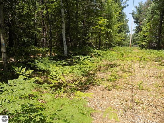 5th image of Xxx Old Pine Trl