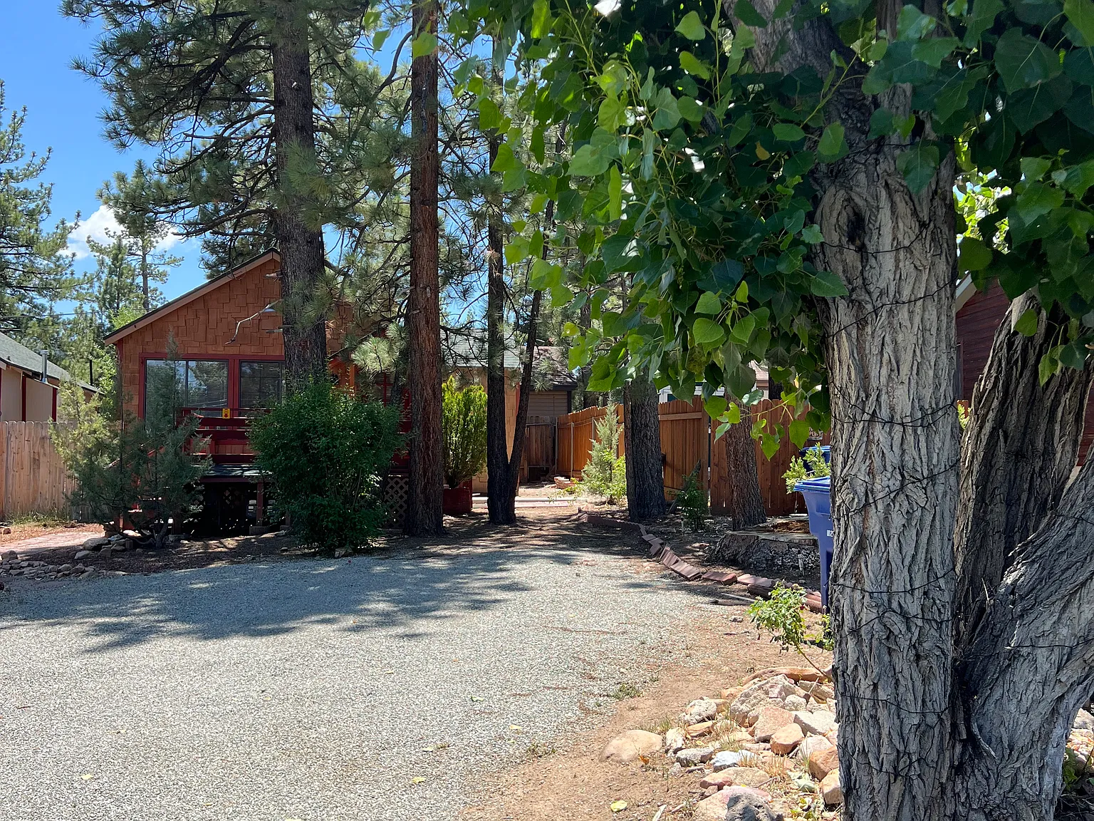 1 bed, $1,450 — Photo 2