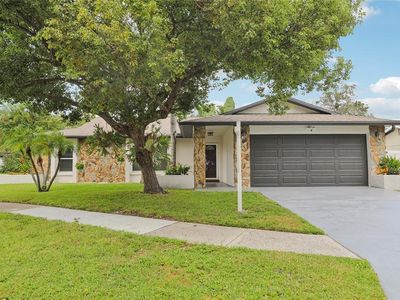 109 Timber Cir, Safety Harbor, FL, 34695