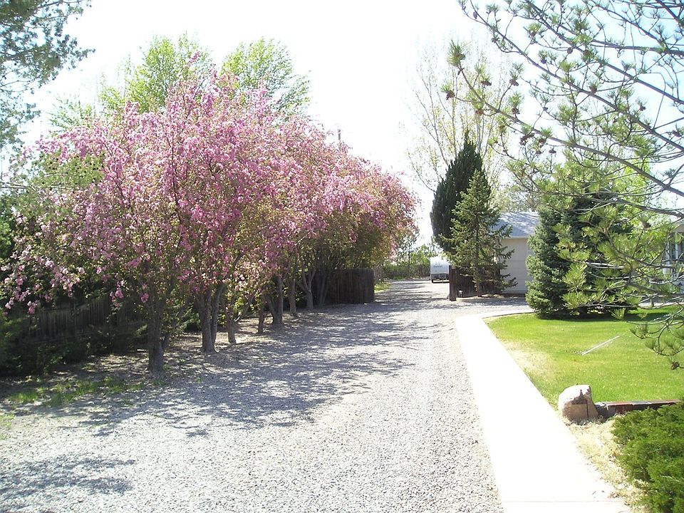 Secluded Drive