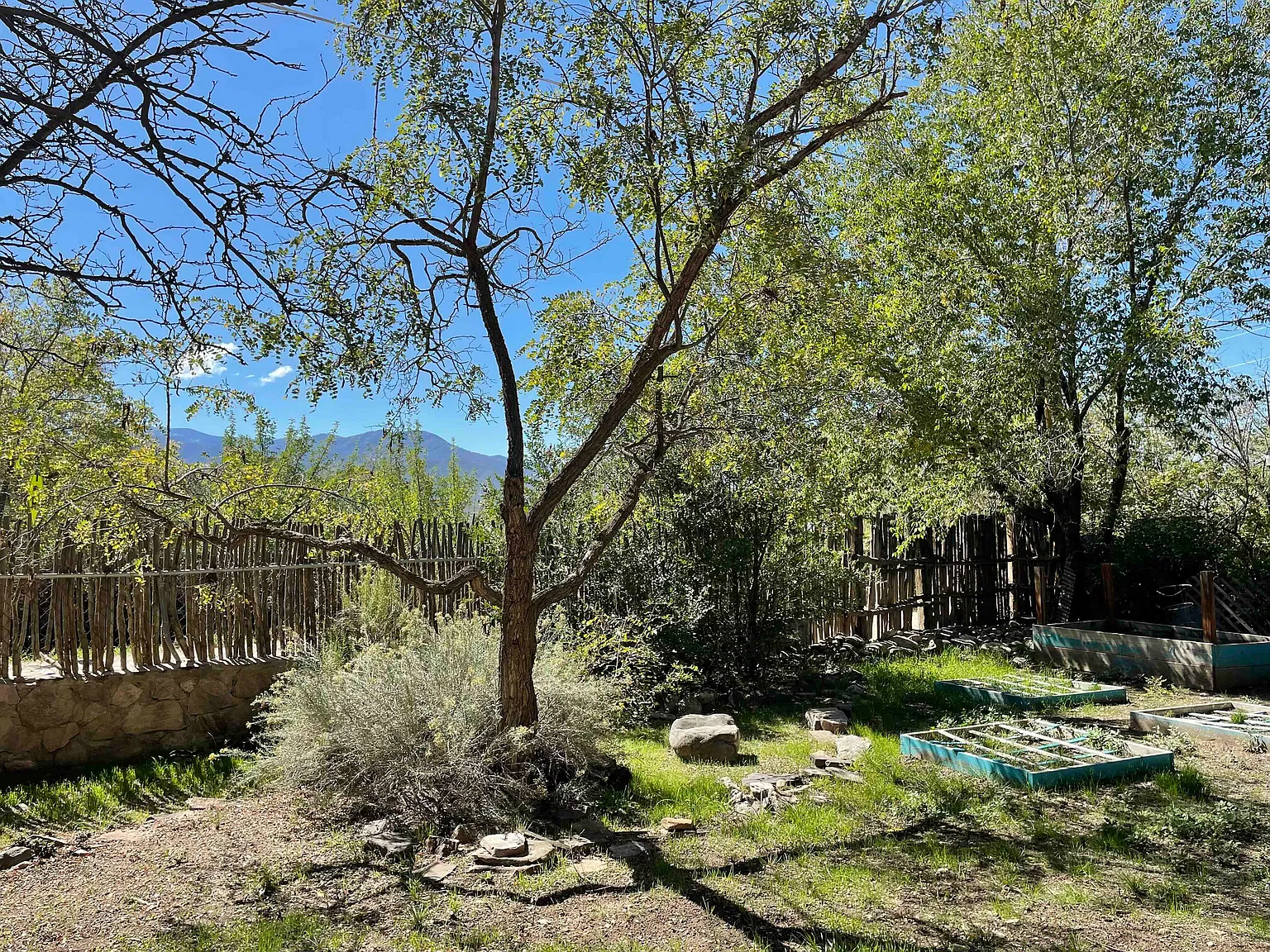 1 bed, 1400 sqft, $1,800 — Photo 4
