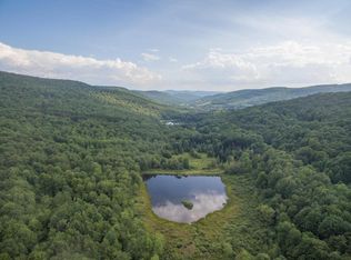 696 Skunk Hollow Rd, Delancey, NY 13752