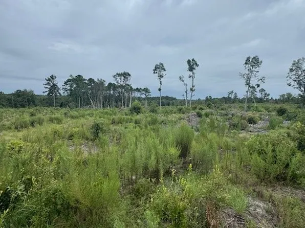 0 Kennedy Bridge Road, Register, GA 30452