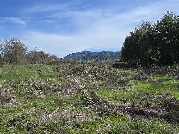 3rd image of 0 Tiller Trail Hwy
