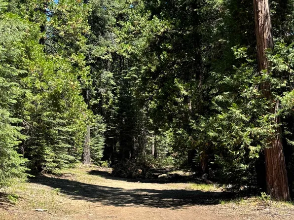 2-A-4 Summit Cir, McCloud, CA 96057