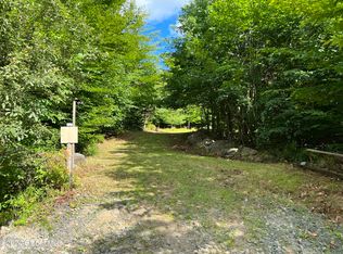 L711 Saint George Ln, Northville, NY 12134
