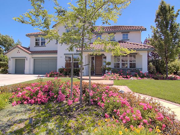 Professional Landscaping