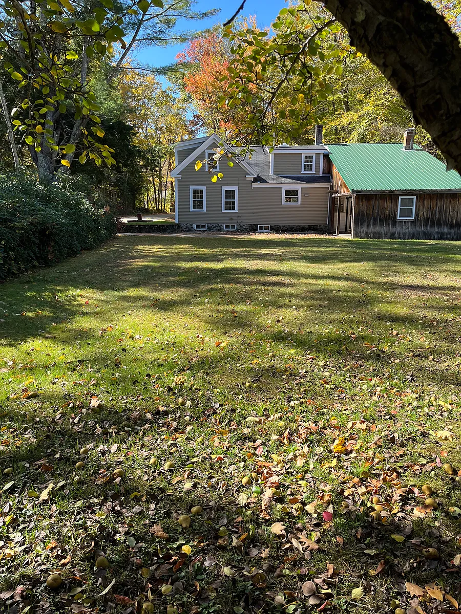 side yard lined with rhododendron bushes and pear trees - 1239 North Rd