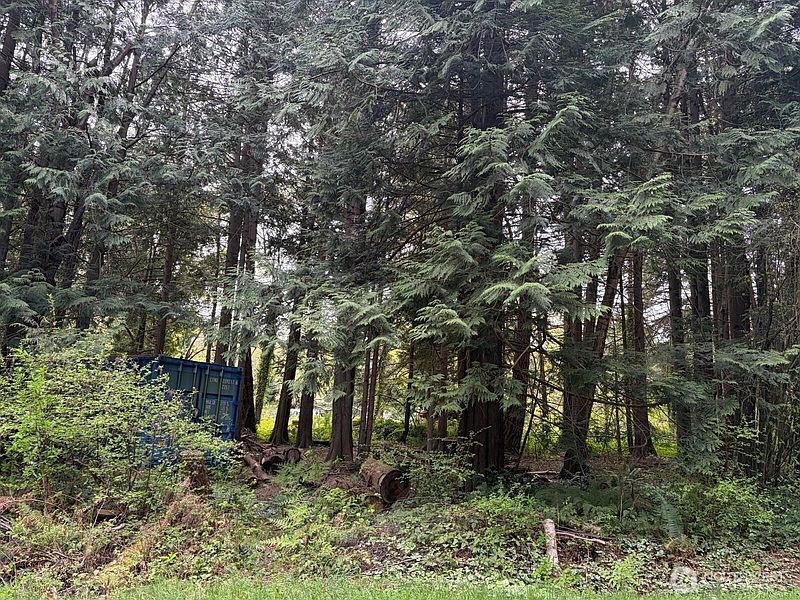 3rd image of 318 Madrona Place