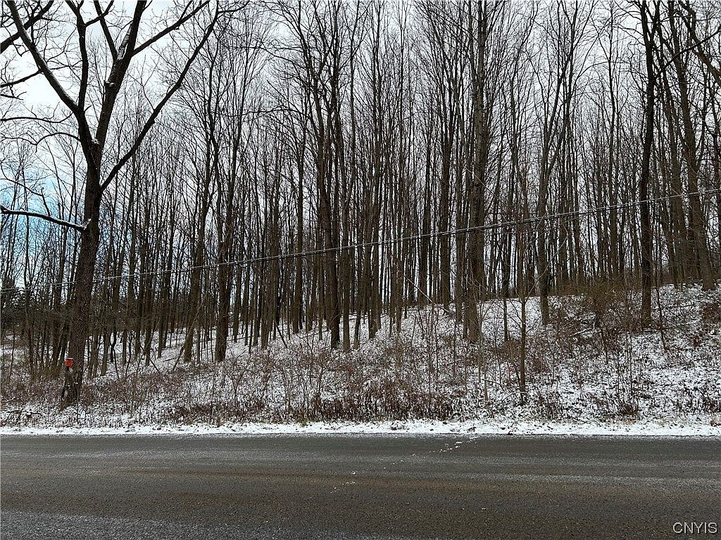 0 Podunk Rd 35, Lee Center, NY 13363 MLS S1511629 Zillow