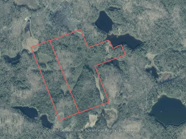 1027 Axe Lake Rd, McMurrich/monteith, ON P0A 1Y0