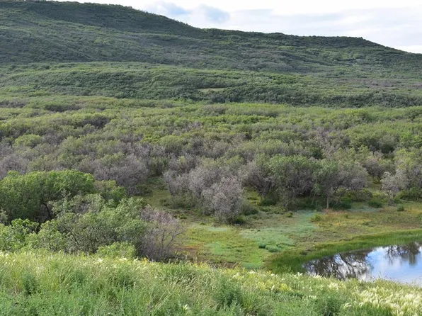 9723 Road 27.4, Dolores, CO 81323