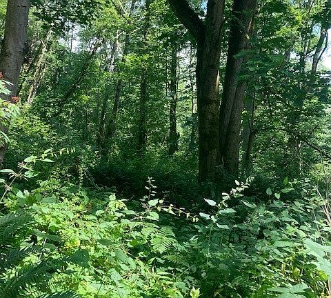 4th image of 46 NE Felicity Lane