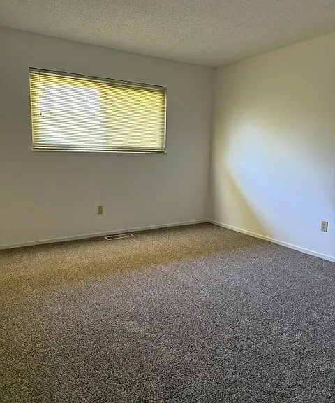 405 Leveland Ln — Photo 16