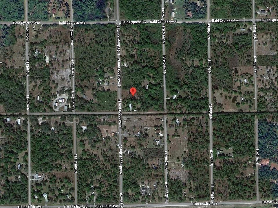 2nd image of 625 N Cabbage Palm Street