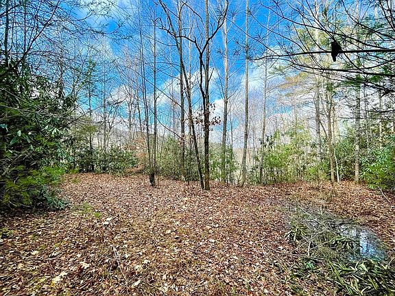 2nd image of NA W Mill Creek