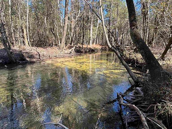 4th image of 22 Creek Bluff Dr