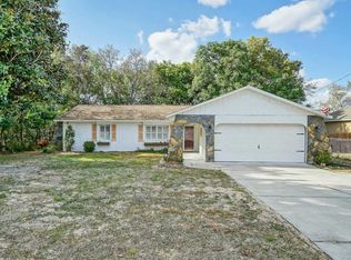 11113 Norvell Rd, Spring Hill, FL 34608