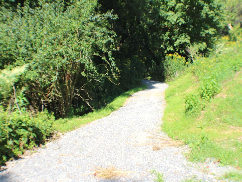 221 4th Ave Marlinton WV Zillow