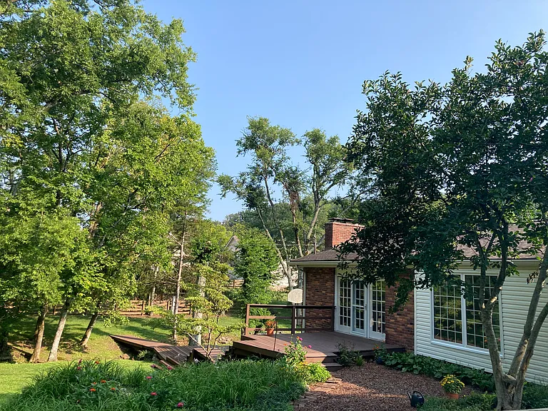 Back yard and deck