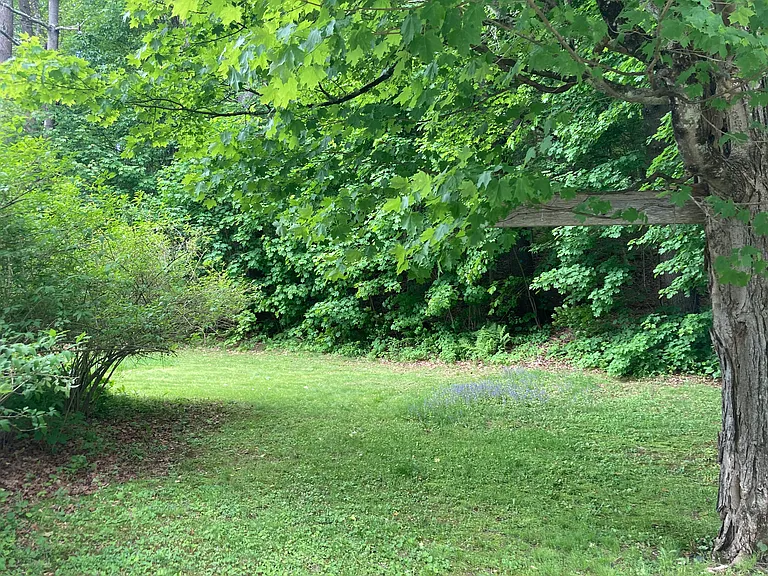 99 Bardwells Ferry Rd — Photo 5