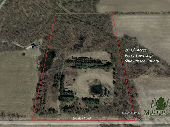 Vl Lovejoy Rd, Perry, MI 48872