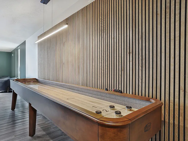 Shuffleboard