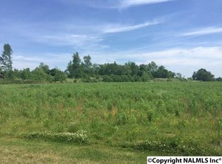 315 Old Water Plant Rd, Albertville, AL 35951