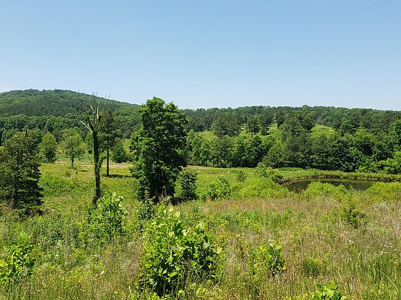 2nd image of LOT 83 Twin Lakes Dr