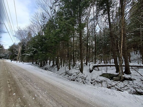 Perspective:  road frontage