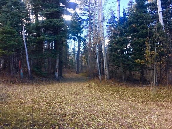 3rd image of 1295 County Road 131