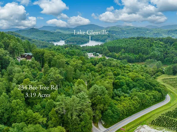 234 Bee Tree Road, Glenville, NC 28736