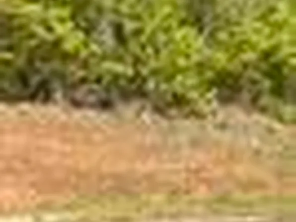 31 13th Cou Ct, Lanett, AL 36863