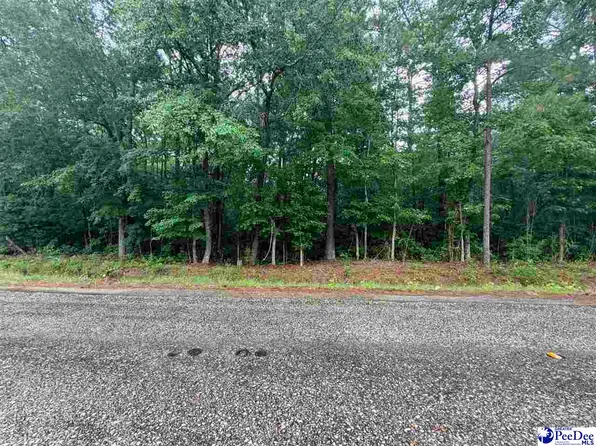 Brookeside Rd, Dillon, SC 29536