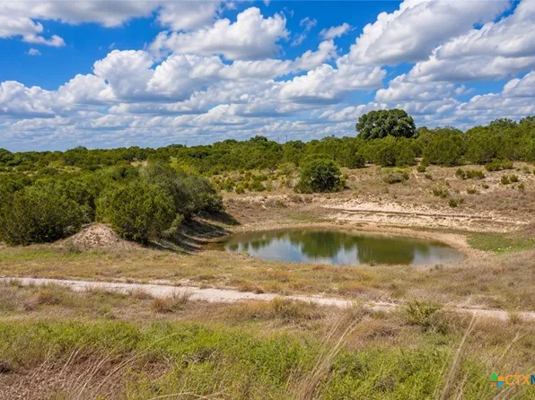 100 River Shoals Dr, Kempner, TX 76539