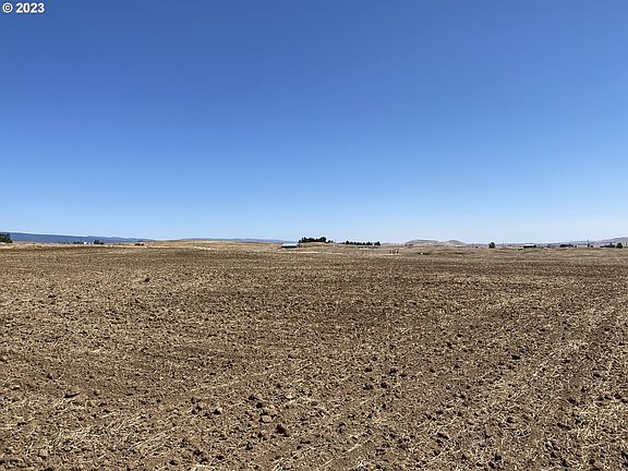 4th image of 32 Sunrise Ln #4