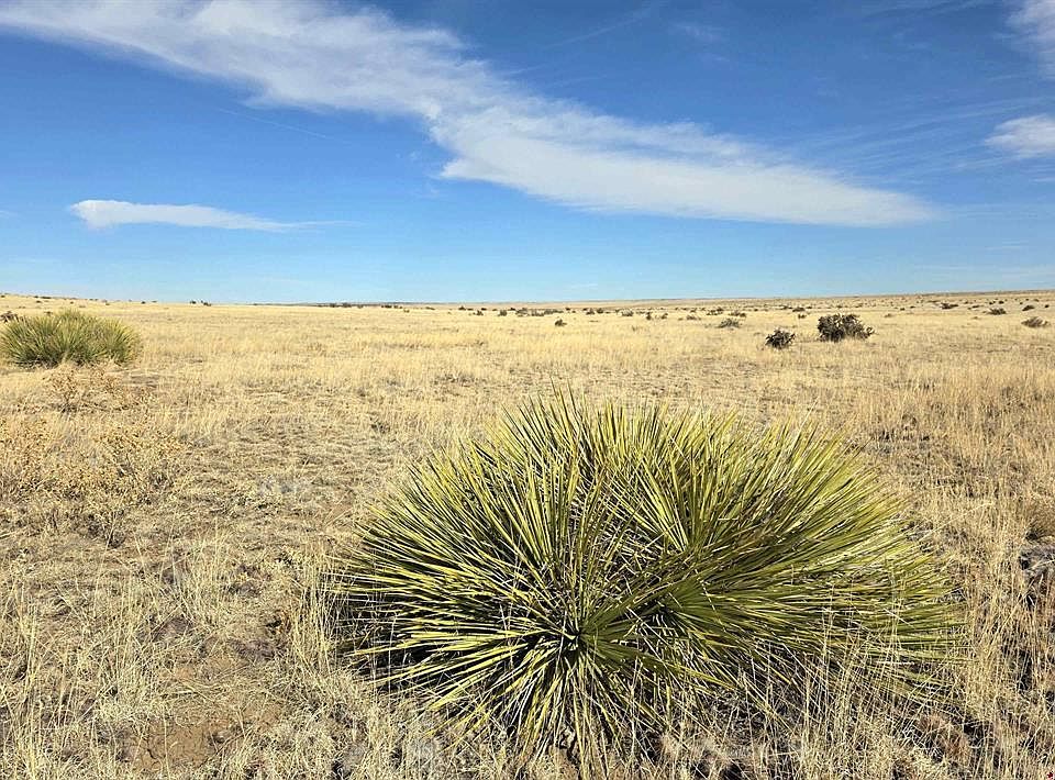 1st image of TBD County Road 103
