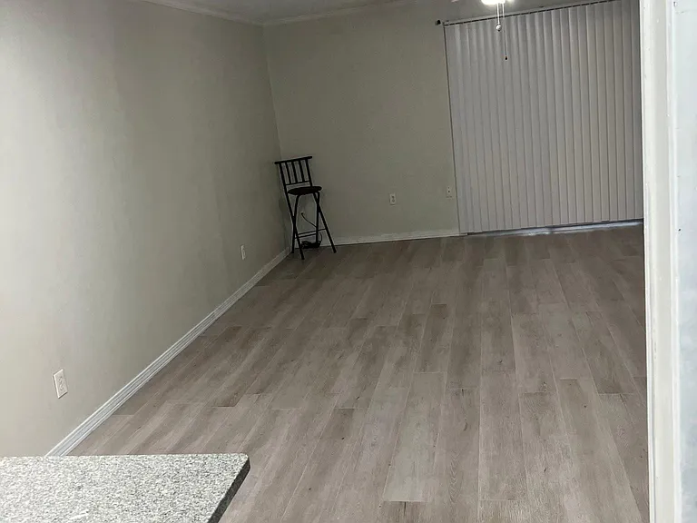 Living and Dining rooms