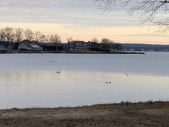 Blackberry Bay, full of wildlife