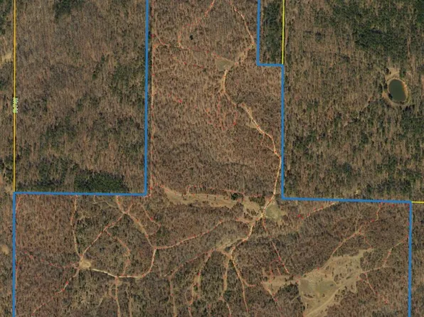 328 County Road 6600, Licking, MO 65542