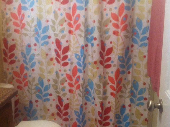 Guest Bathroom or Kids Bathroom