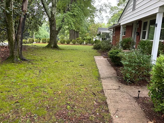 3 bed, 1118 sqft, $1,725 — Photo 4