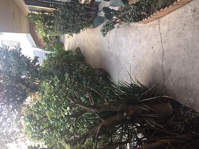 2nd image of 504 S Manhattan Pl APT 3
