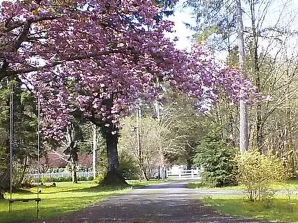 41115 Dorman Rd, Gold Bar, WA 98251