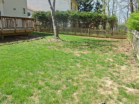 Large, Fenced Backyard