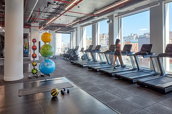 Rented by Two Trees | media 64