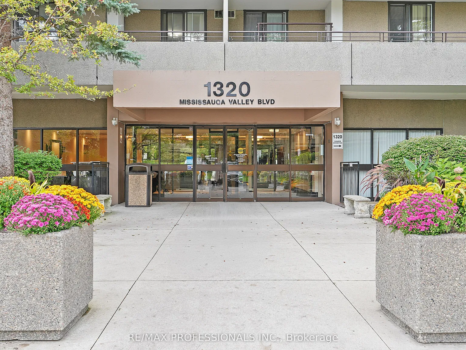 3 bed, $3,200 — Photo 2