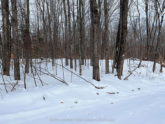 4th image of 1 Siberia Rd